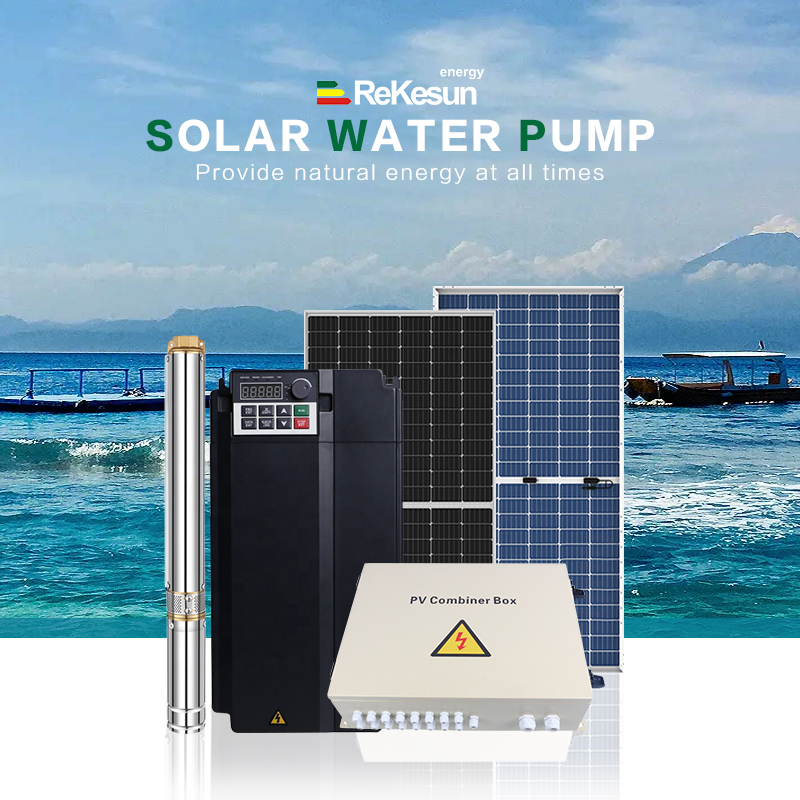 Wholesale Solar Pumping Systems Low Power Customized 0.75KW-4KW Manufacturer